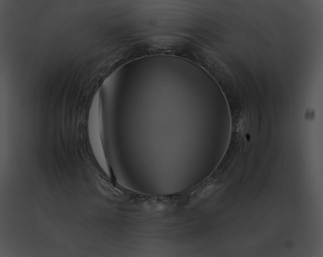 X0000091540868200708311329