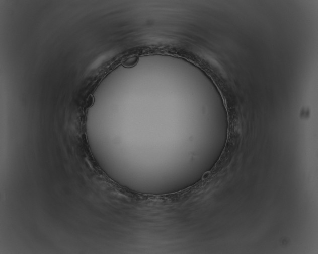 X0000091540869200708311329