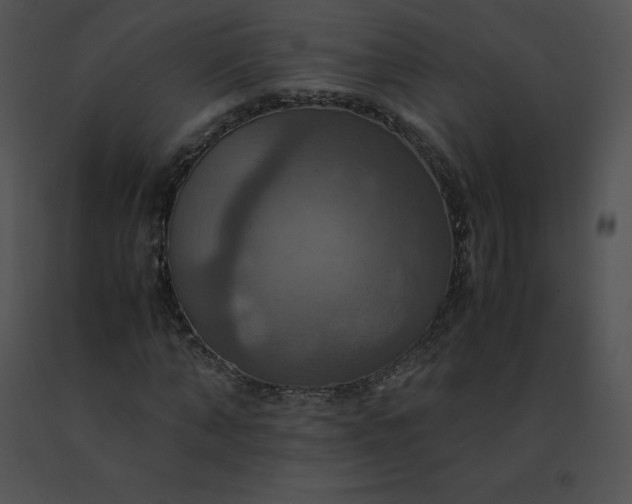 X0000091540870200708311329