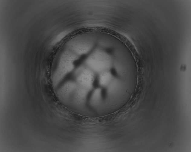 X0000091540871200708311329