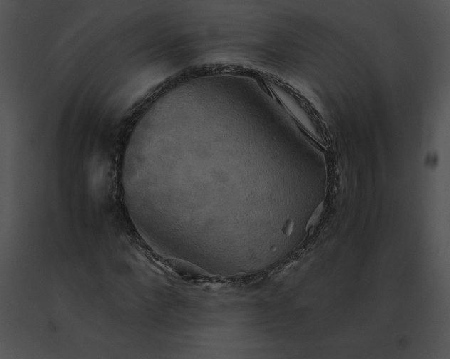 X0000091540872200708311329