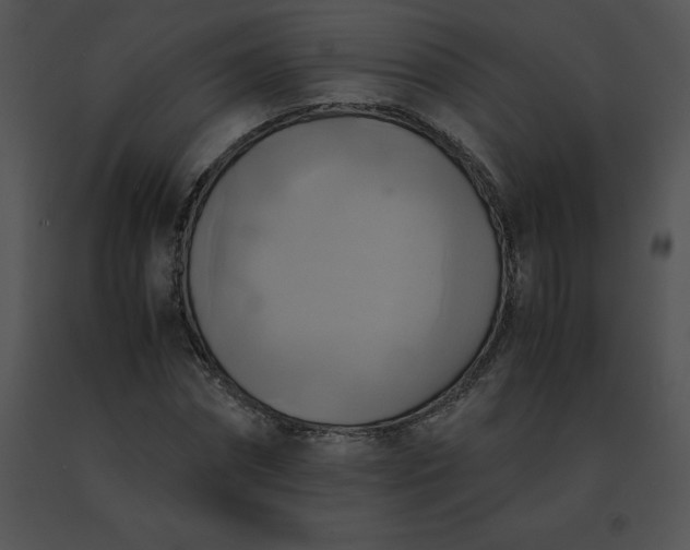 X0000091540874200708311329