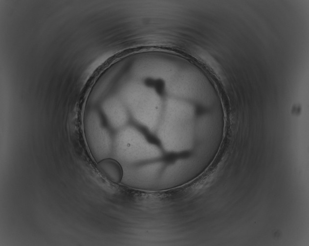 X0000091540875200708311329