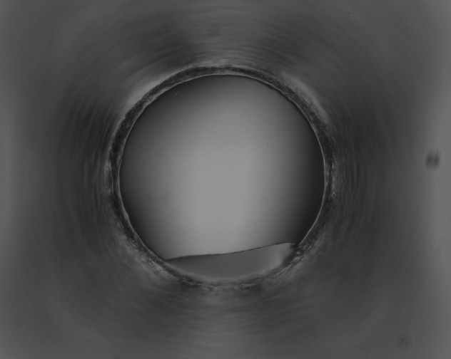 X0000091540876200708311329