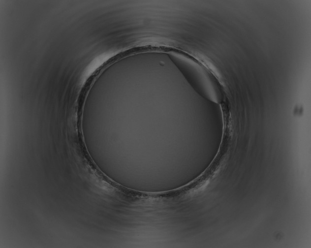 X0000091540877200708311329