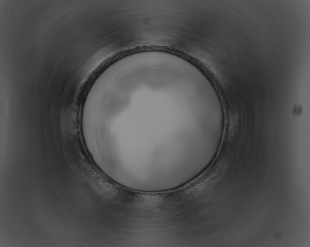 X0000091540878200708311329