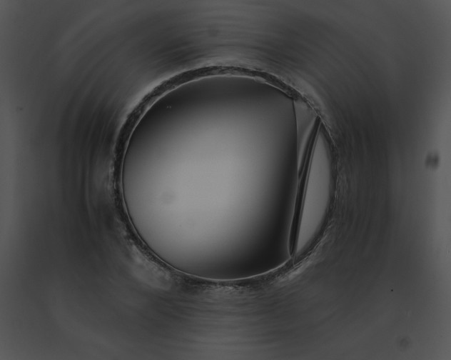 X0000091540880200708311329