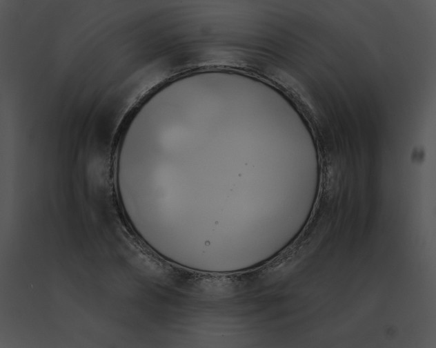 X0000091540882200708311329
