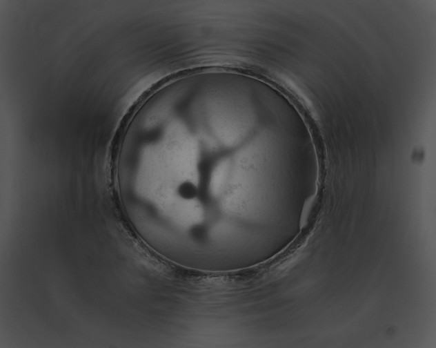 X0000091540883200708311329
