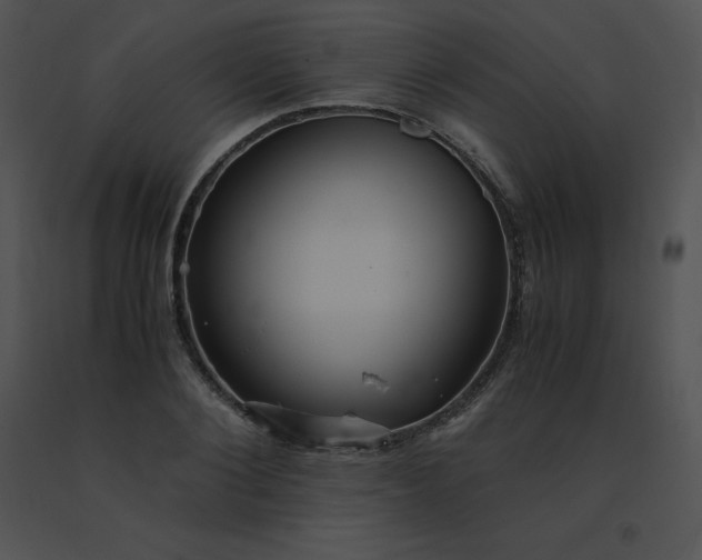 X0000091540884200708311329