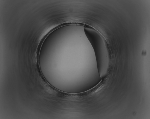 X0000091540885200708311329