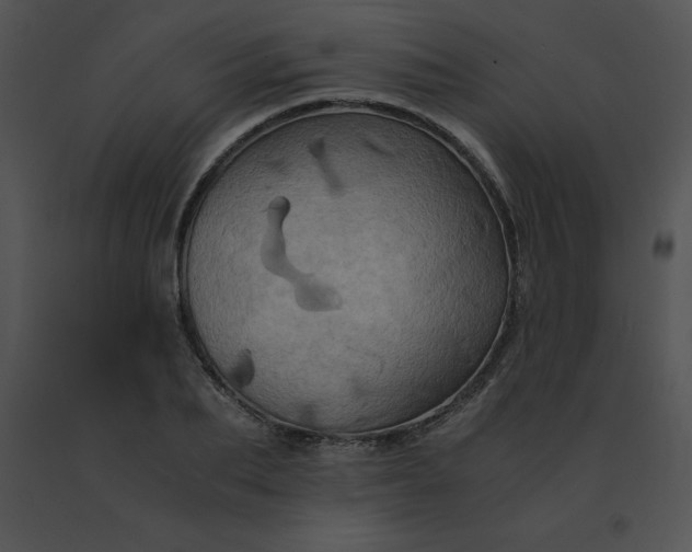 X0000091540887200708311329