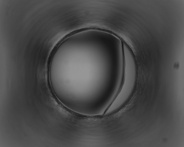 X0000091540888200708311329