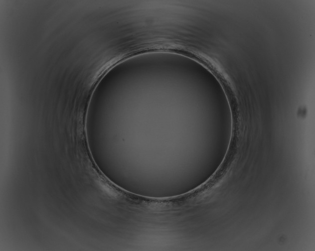 X0000091540889200708311329