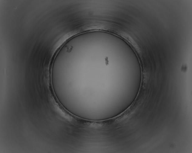 X0000091540890200708311329