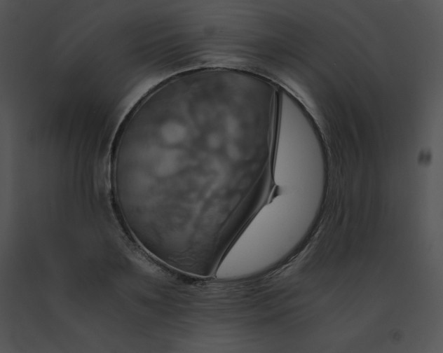 X0000091540891200708311329