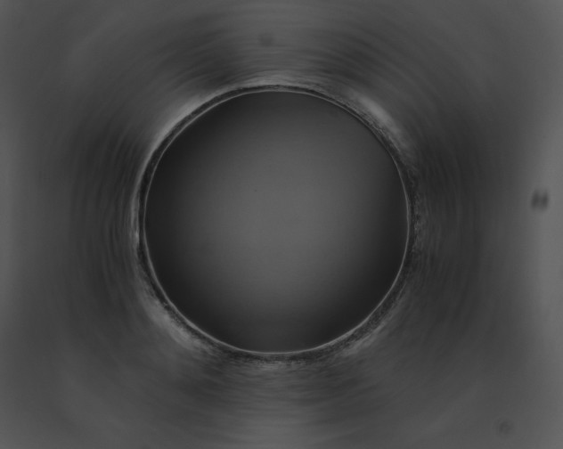 X0000091540892200708311329
