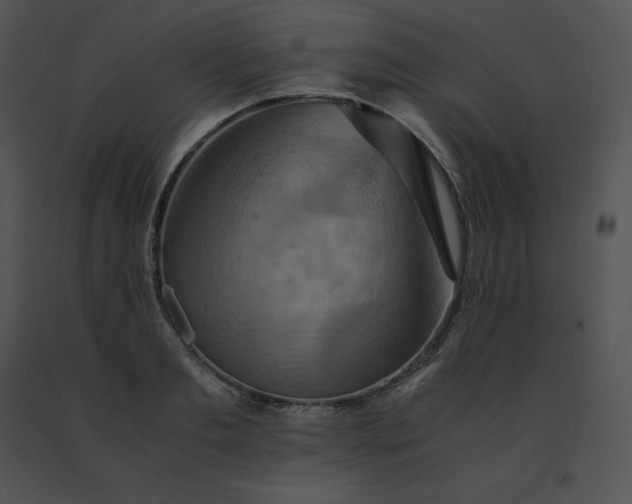 X0000091540893200708311329