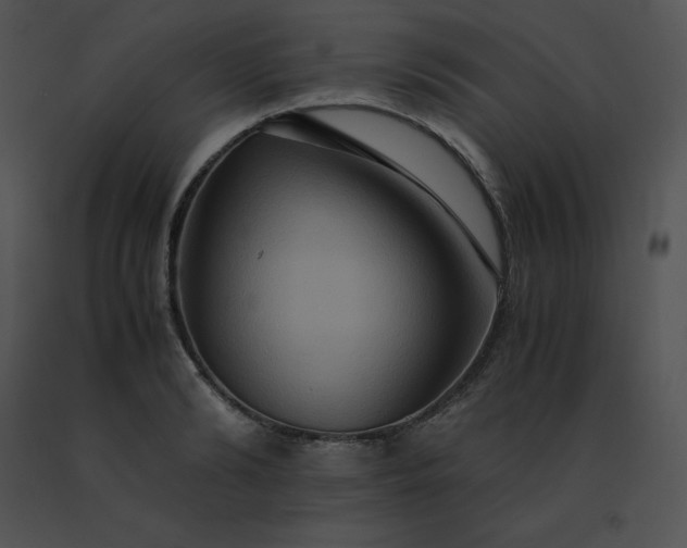 X0000091540894200708311329