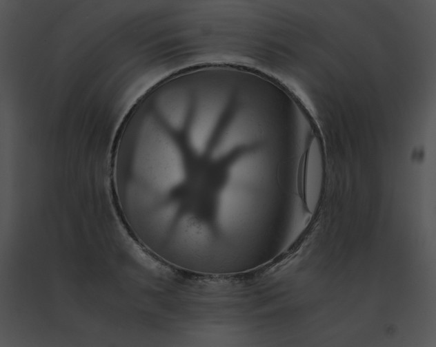 X0000091540895200708311329