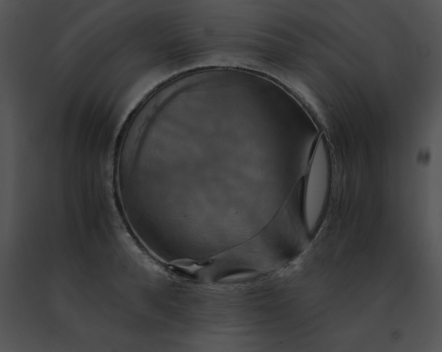 X0000091540896200708311329