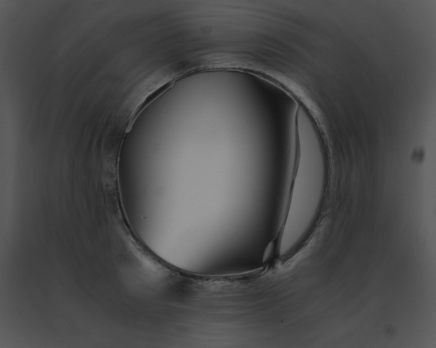 X0000091540897200708311329