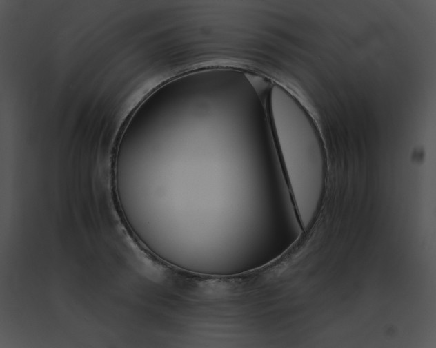 X0000091540898200708311329