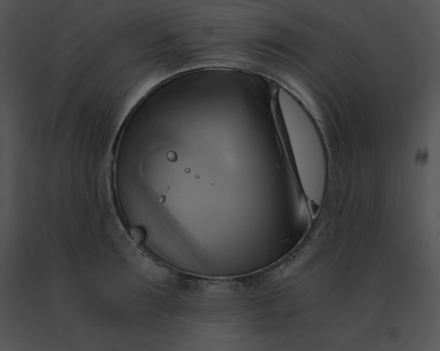 X0000091540899200708311329