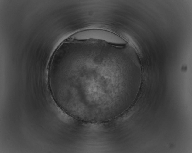 X0000091540900200708311329