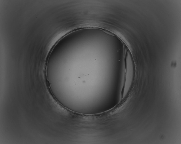 X0000091540901200708311329