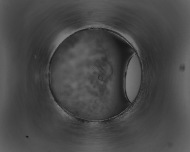 X0000091540903200708311329