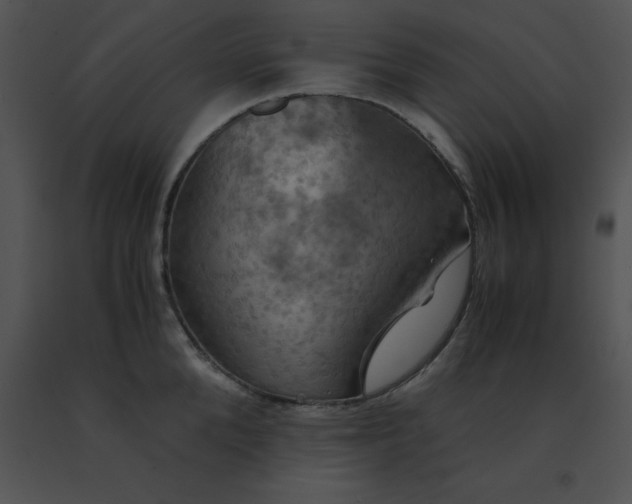 X0000091540904200708311329