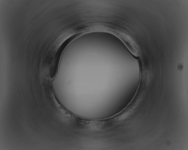 X0000091540905200708311329
