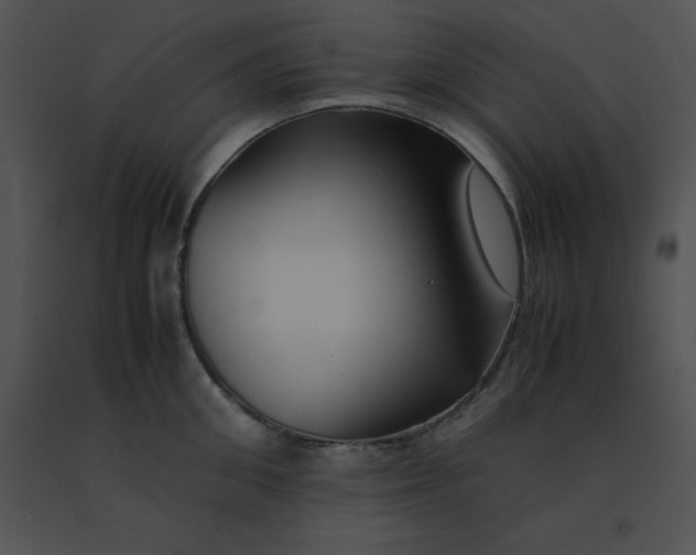 X0000091540906200708311329