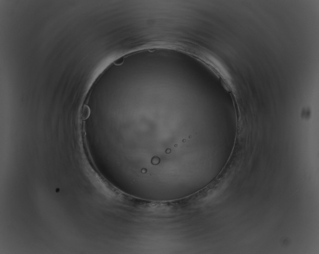 X0000091540907200708311329