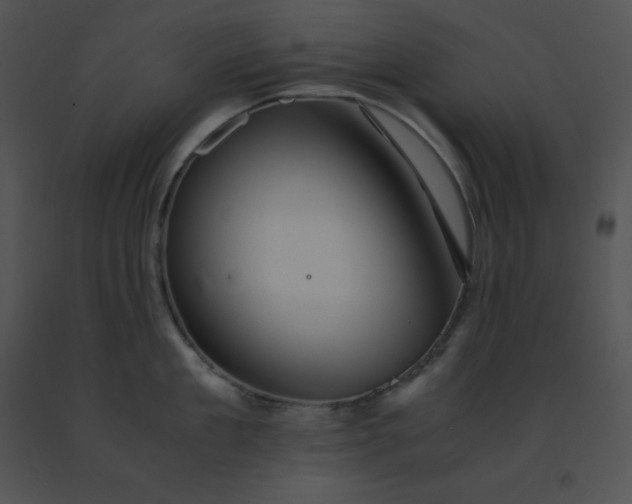 X0000091540909200708311329