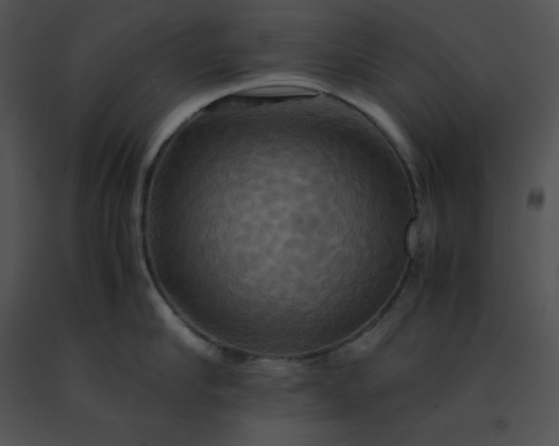 X0000091540910200708311329