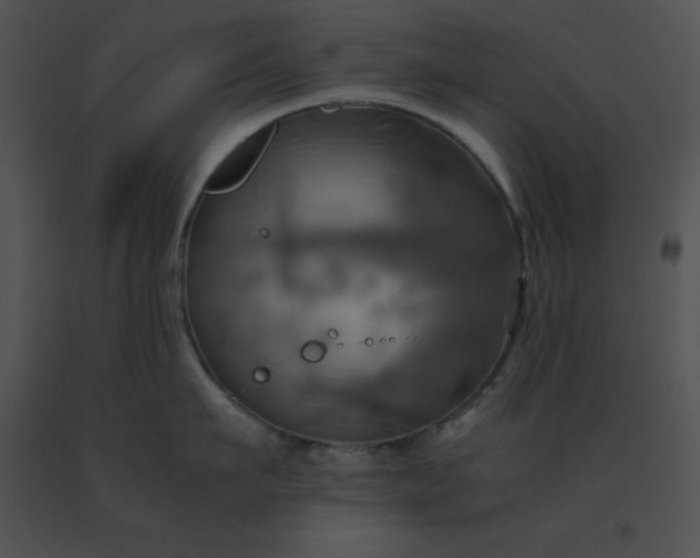 X0000091540911200708311329