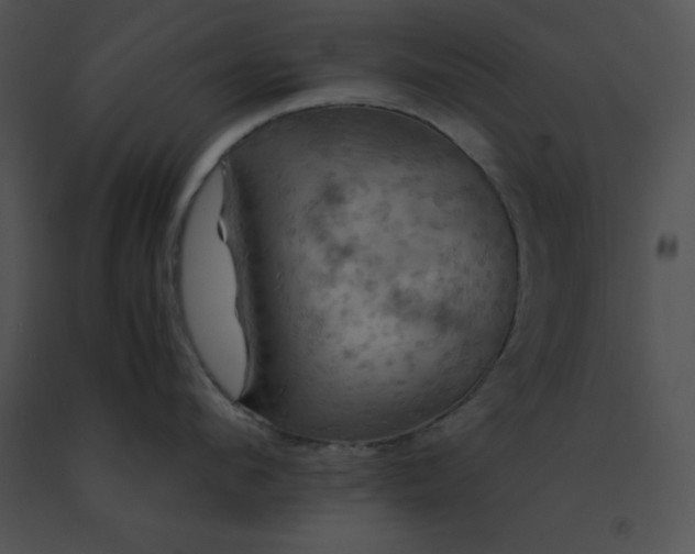 X0000091540912200708311329