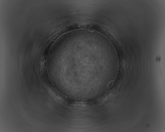 X0000091540914200708311328