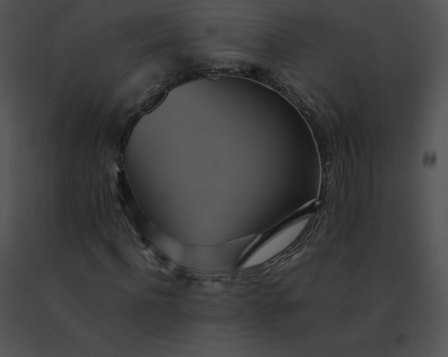 X0000091540916200708311328