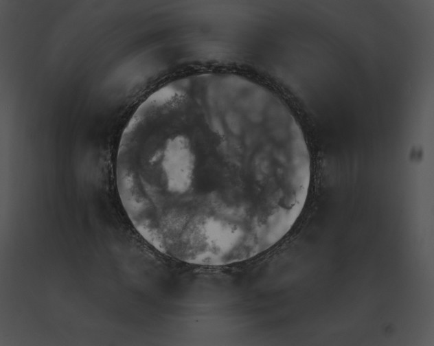 X0000091540918200708311328