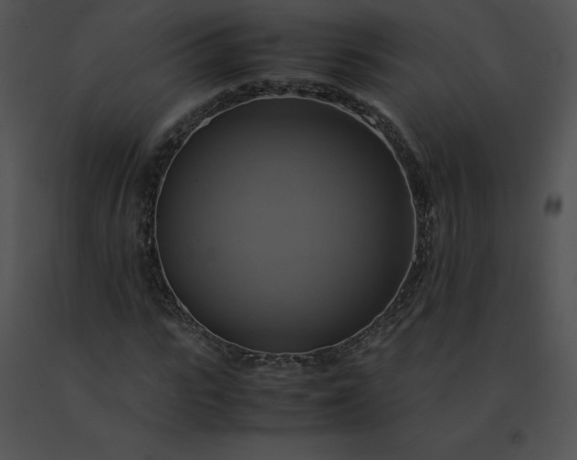 X0000091540919200708311328