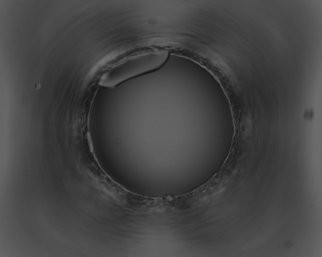 X0000091540920200708311328