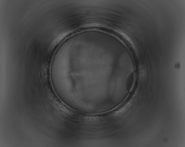 X0000091540921200708311328