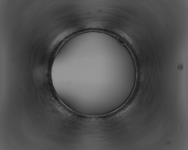 X0000091540922200708311328