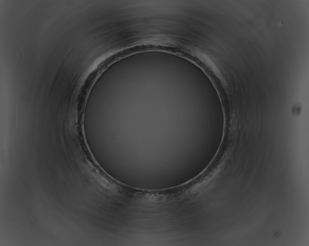 X0000091540923200708311328