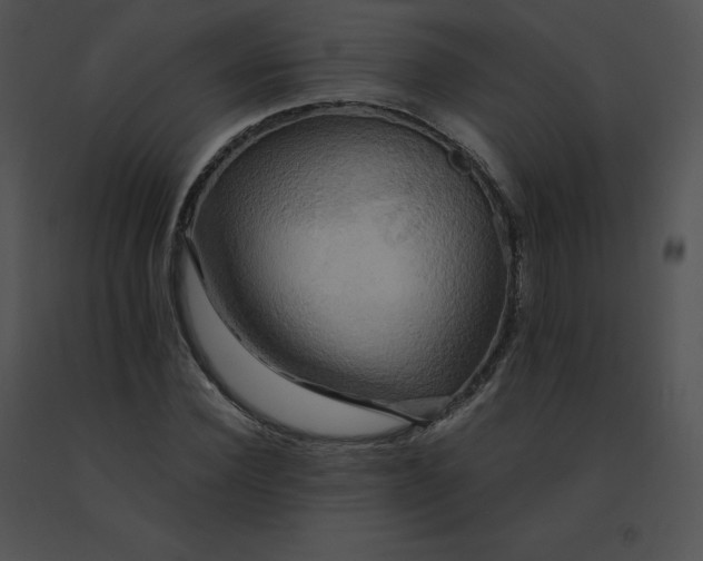 X0000091540924200708311328