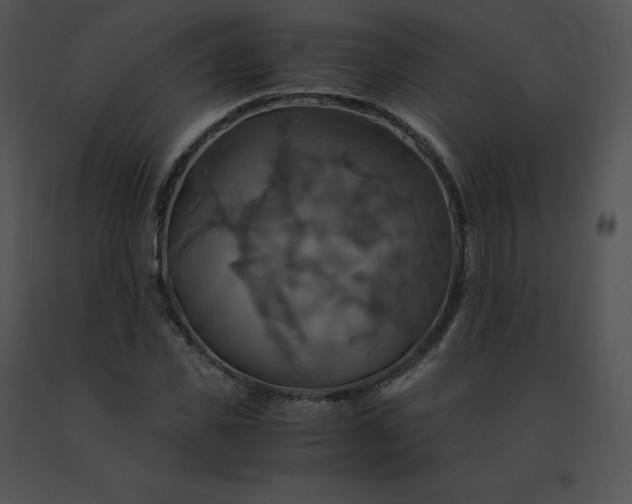 X0000091540925200708311328