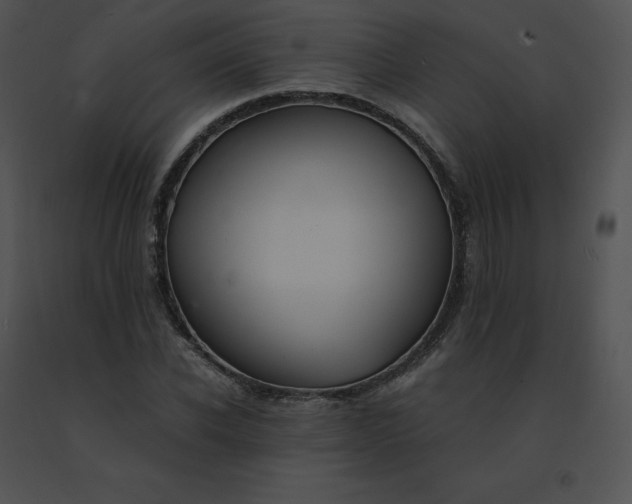 X0000091540926200708311328